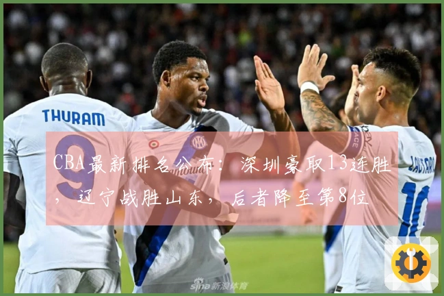 CBA最新排名公布：深圳豪取13连胜，辽宁战胜山东，后者降至第8位