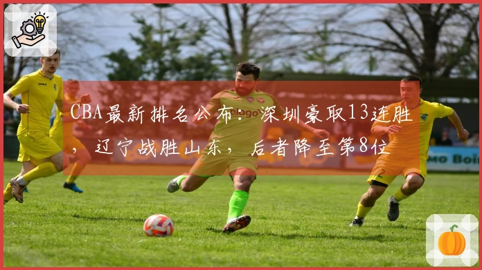 CBA最新排名公布：深圳豪取13连胜，辽宁战胜山东，后者降至第8位