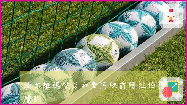 谢尔维退役后加盟阿联酋阿拉伯猎鹰队