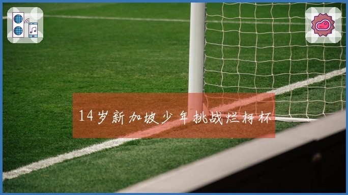 14岁新加坡少年挑战烂柯杯