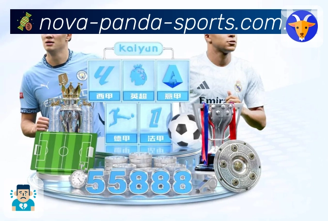 <strong>熊猫体育</strong>App 实景图